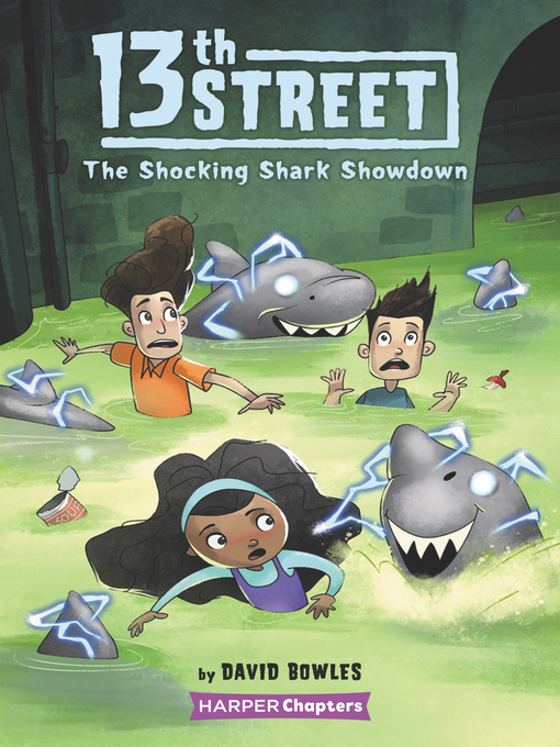 Title details for 13th Street #4 by David Bowles - Available